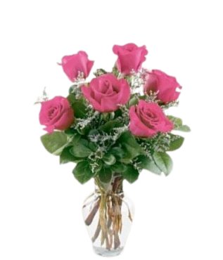 6 Pink Roses - Free Delivery - MontRoyal Florist Montreal