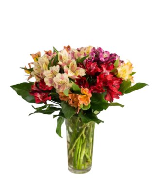 Autumn Glow - Free Delivery - MontRoyal Florist Montreal