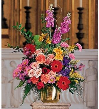 Colorful Comfort - Free Delivery - MontRoyal Florist Montreal