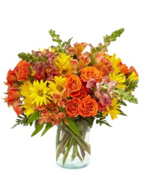 Fall Beauty - Free Delivery - MontRoyal Florist Montreal