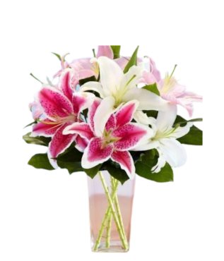 Oriental Lilies - Free Delivery - MontRoyal Florist Montreal