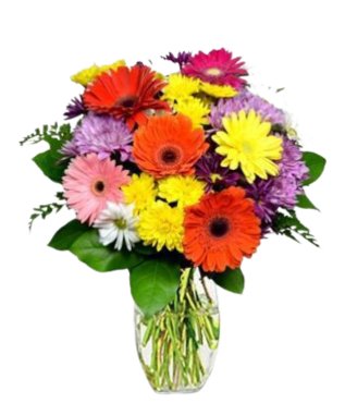 Princess Daisy - Free Delivery - MontRoyal Florist Montreal