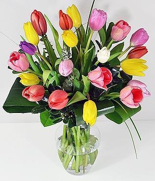 20 Multicolour Tulips