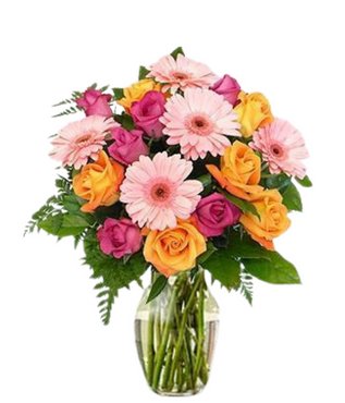 Social Butterfly - Free Delivery - MontRoyal Florist Montreal