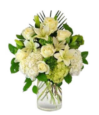 Song Of The Angels - Free Delivery - MontRoyal Florist Montreal