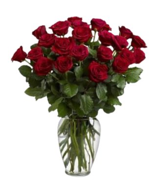 Two Dozen Red Roses - Free Delivery - MontRoyal Florist Montreal