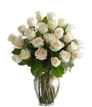 Two Dozen White Roses - Free Delivery - MontRoyal Florist Montreal