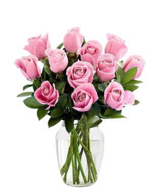 12 Pink Roses - Free Delivery - MontRoyal Florist Montreal