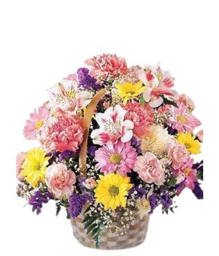 Basket of Cheer - Free Delivery - MontRoyal Florist Montreal