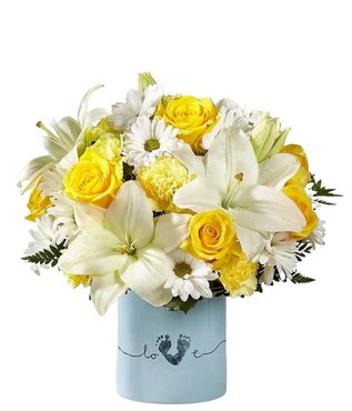 CITRUS KISSED - Free Delivery - MontRoyal Florist Montreal
