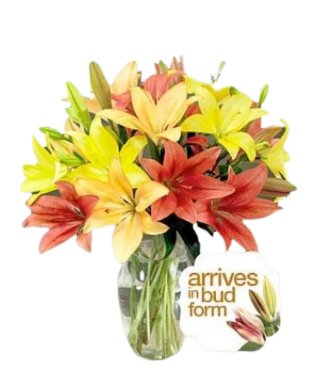 ROYAL AUTUMN LILIES - Free Delivery - MontRoyal Florist Montreal