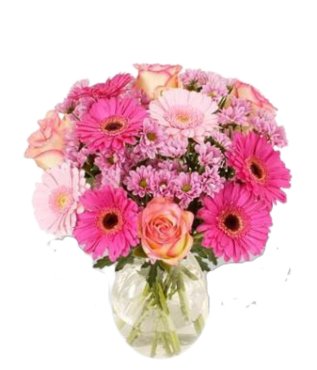 Simply Pink - Free Delivery - MontRoyal Florist Montreal