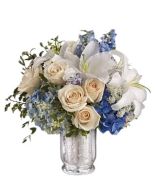 Stylish Exquisite - Free Delivery - MontRoyal Florist Montreal