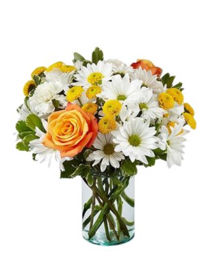 Summer Magic - Free Delivery - MontRoyal Florist Montreal
