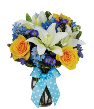 Sweet Baby Boy - Free Delivery - MontRoyal Florist Montreal